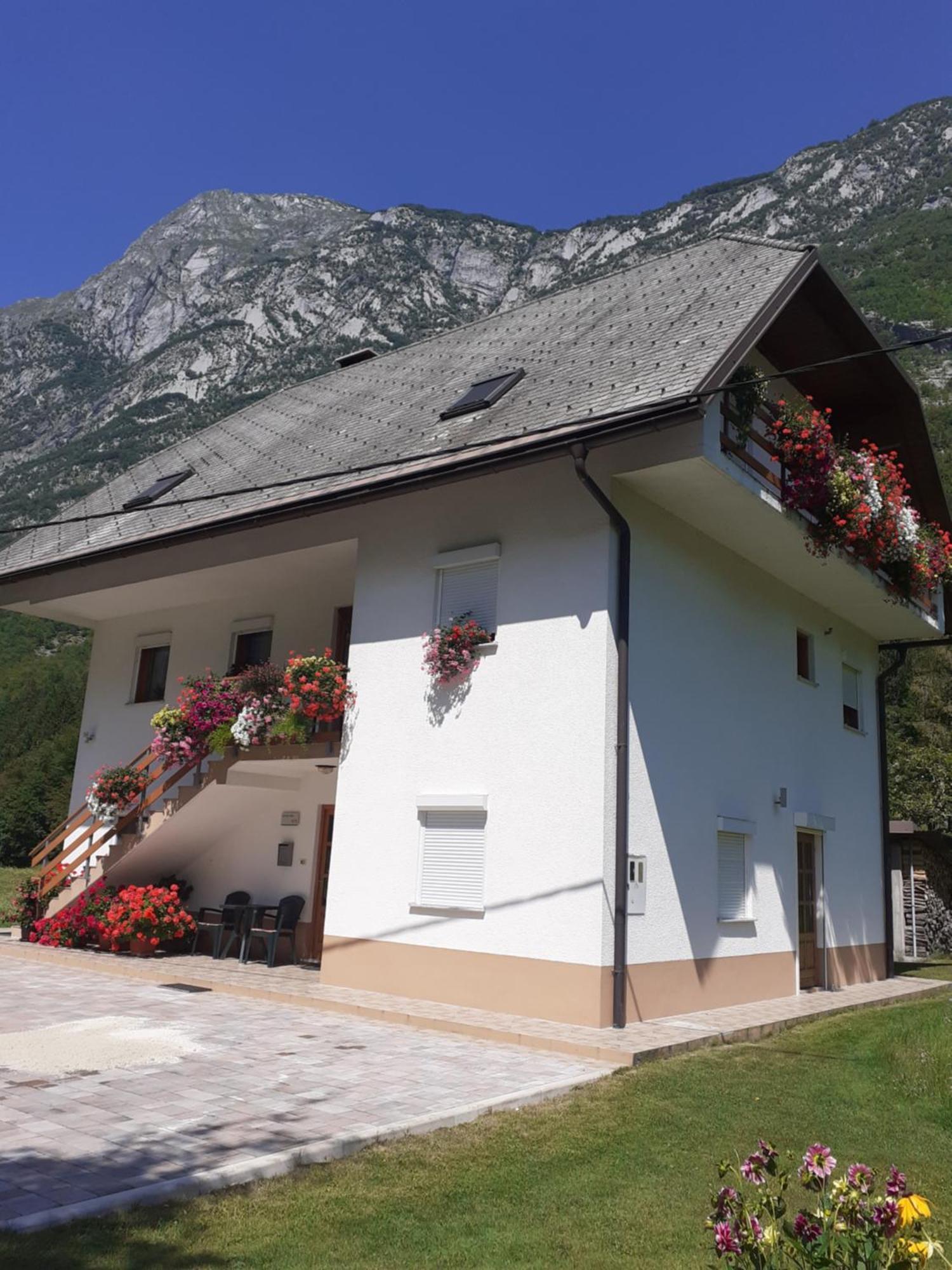 Apartma Pod Rozem Soča Exterior foto
