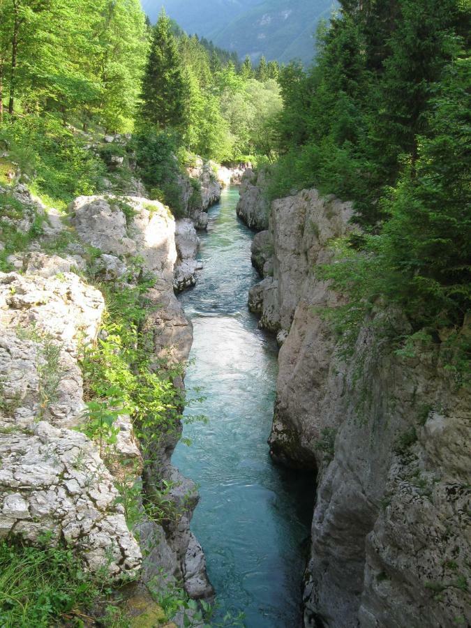 Apartma Pod Rozem Soča Exterior foto