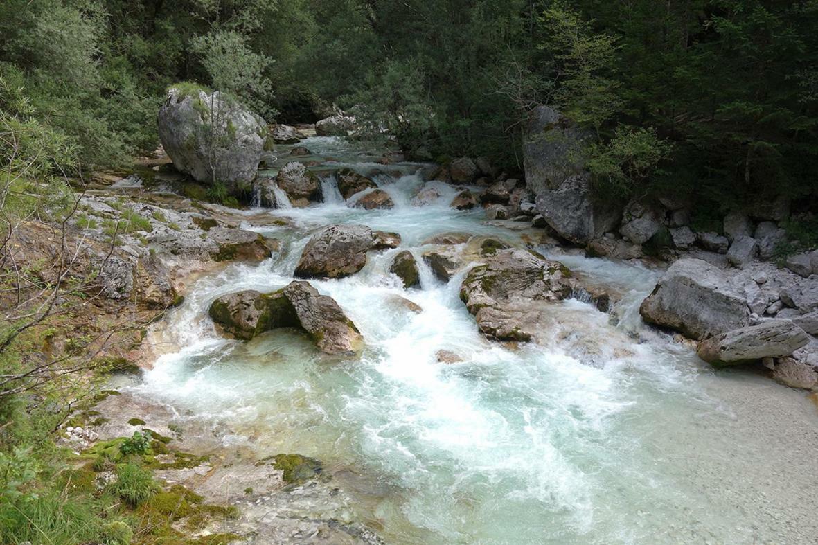 Apartma Pod Rozem Soča Exterior foto